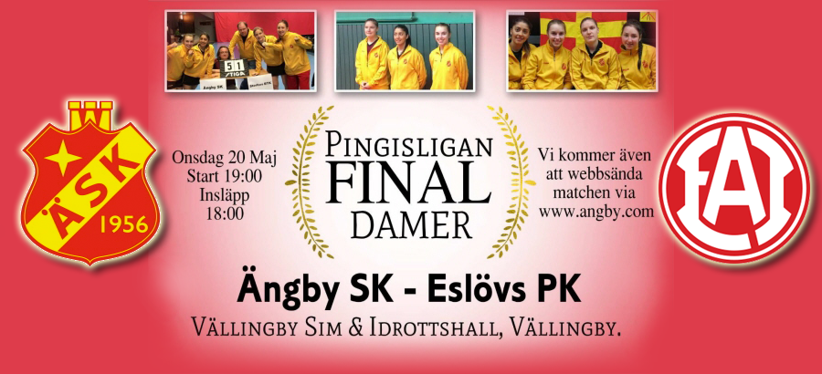 Finaldags för damerna!