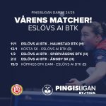 Pingisligan Dam Våren 25